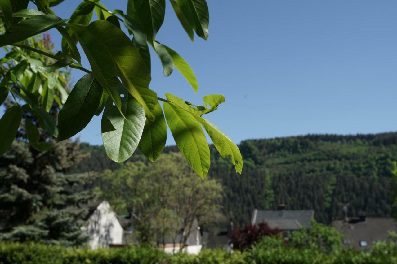 Ferienwohnungen Christina Traben-Trarbach Extérieur photo
